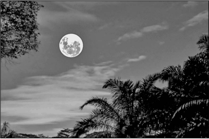 Full Moon at Night