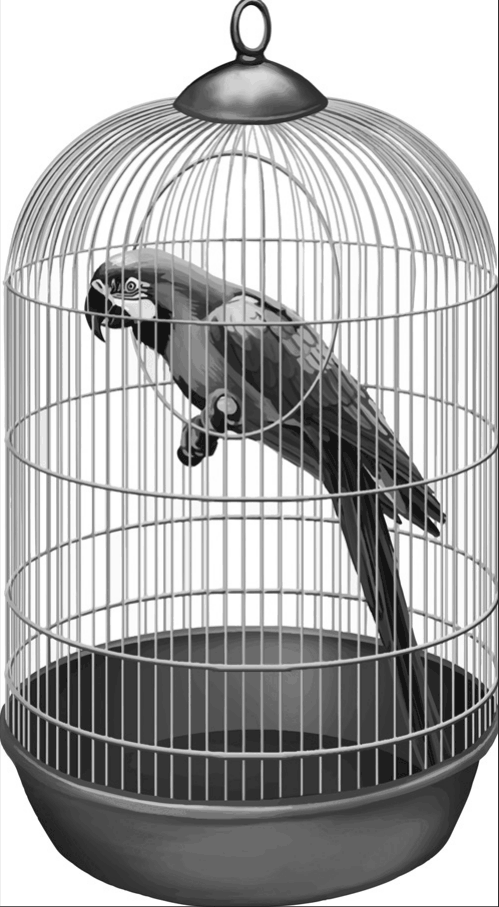 A parrot in a cage