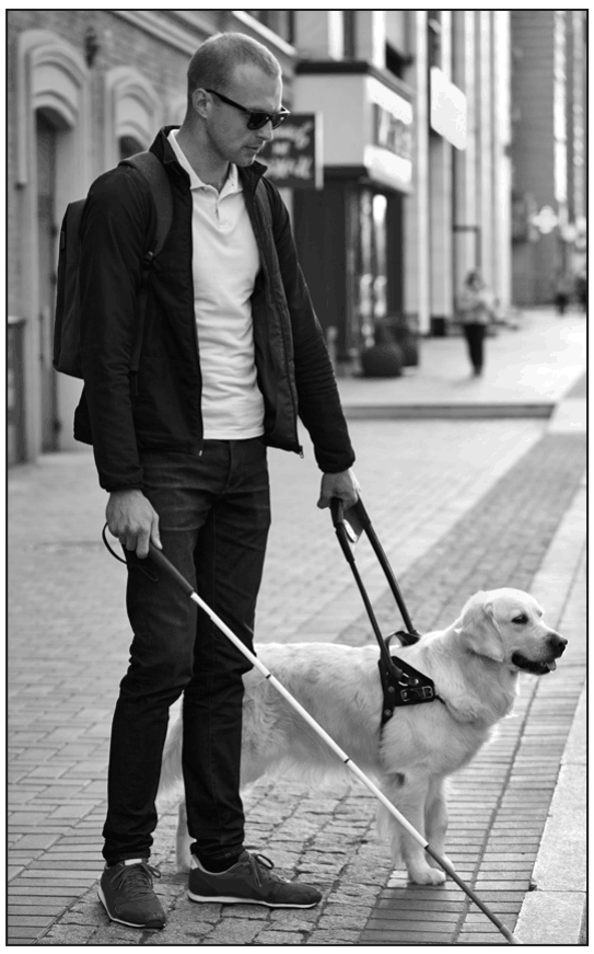 A guide dog with a man who is blind