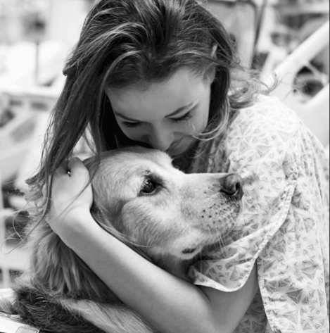 A therapy dog